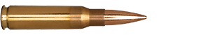 308 Winchester 175gr OTM Tactical