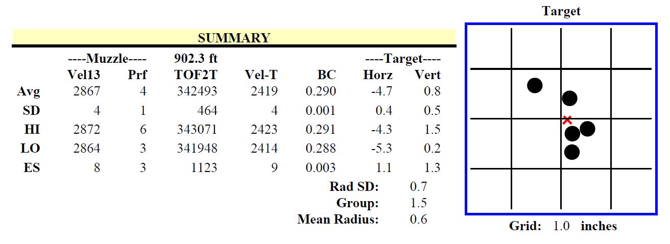 6mm 109gr Long Range Hybrid Target Group 2